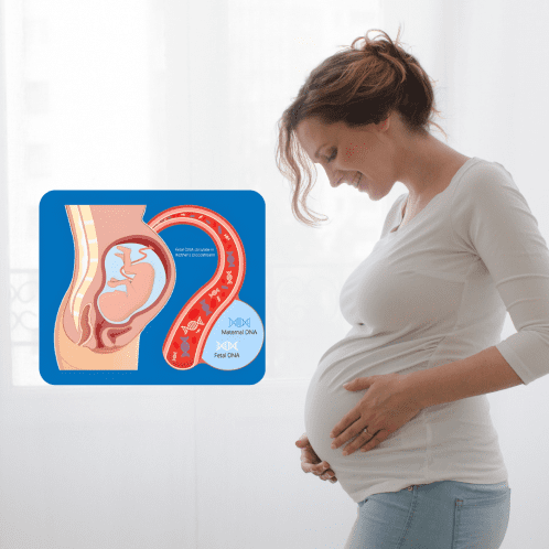 NIPT BASIC TEST AT HOME IN DUBAI